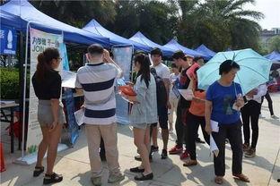 广西玉林最新吃豆腐爆料,广西美食界的创新风暴来袭  第2张