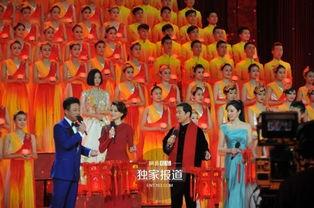 春晚彩排爆料视频下载安装,下载安装过程全记录  第1张