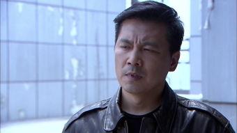 暗警在线观看35集,揭秘35集悬疑剧情，真相渐露  第3张